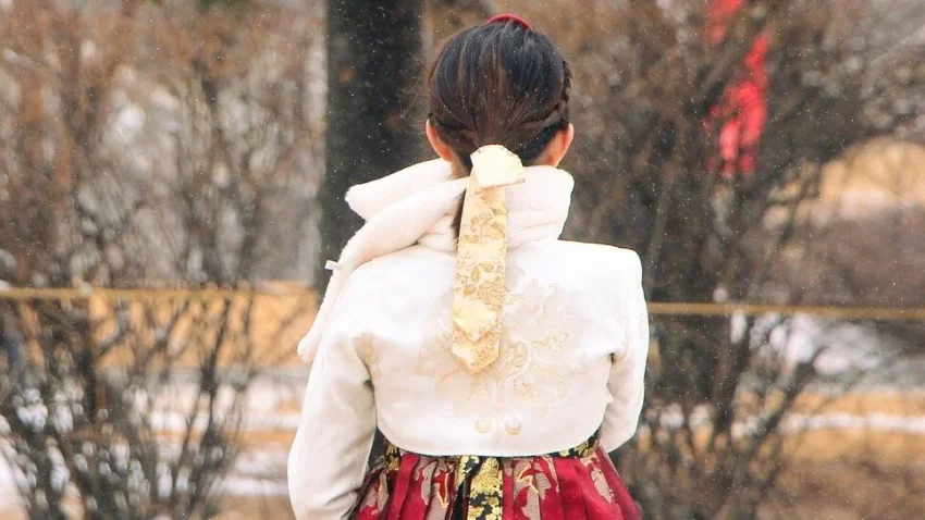 A video of Taiwanese men confidently strolling through Gyeongbokgung Palace in female hanbok has taken South Korea's online community by storm. Their unique sartorial choice and self-assured demeanor have sparked amusement among Korean netizens.