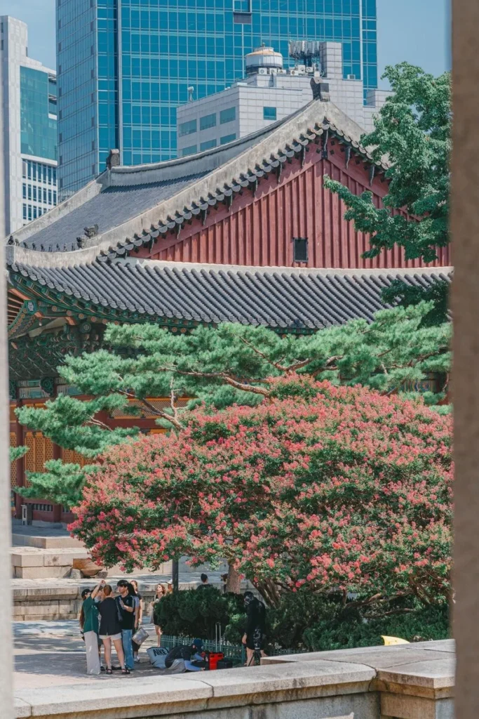 Typically, visitors focus on capturing the Seokjojeon Hall or the art museum. However, I recommend taking pictures from Seokjojeon Hall toward Junghwajeon Hall. This allows you to capture both traditional Korean and Western-style architecture in one frame, a unique feature of Deoksugung.