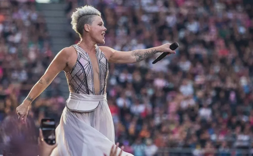 A post on the Korean community site theqoo showed that the worldwide hit "Just Give Me A Reason" by P!nk was unfamiliar to many Korean fans. Despite P!nk's impressive live performances and significant popularity in the U.S., many Koreans had not heard this particular song.