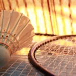 The Badminton Association is embroiled in a scandal following An Se-young's revelations about negligence and corruption within the organization. The association's officials, many unrelated to badminton, have been criticized for prioritizing their comfort over the athletes' well-being.