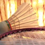 The Badminton Association is under investigation by the Ministry of Culture and Sports due to allegations from An Seyoung. The controversy involves the Association's poor administrative practices and financial management, especially concerning An Seyoung's sponsorship.