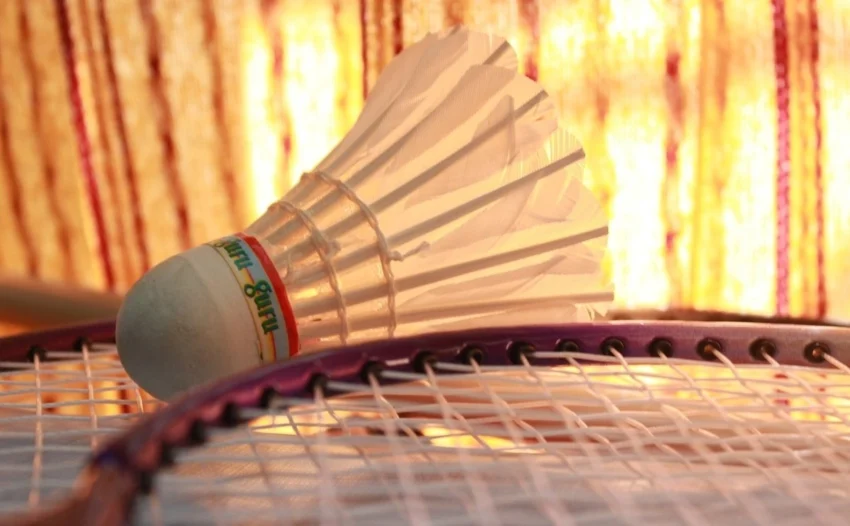 The Badminton Association is under investigation by the Ministry of Culture and Sports due to allegations from An Seyoung. The controversy involves the Association's poor administrative practices and financial management, especially concerning An Seyoung's sponsorship.